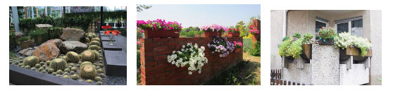 圖片1.png 圖片1.png