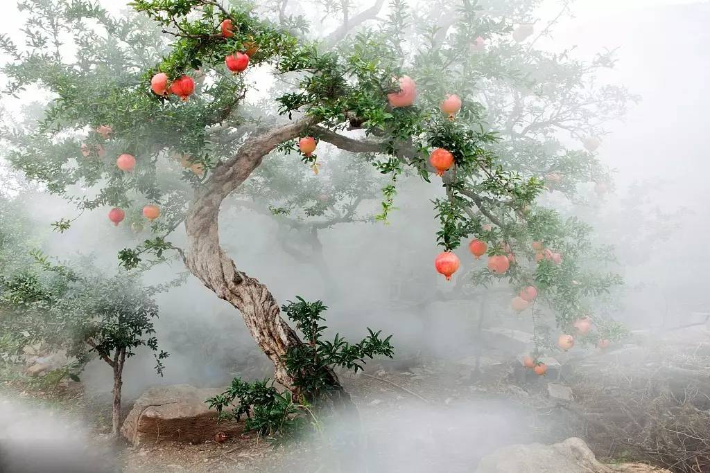 fbc5eb97e9ee44758b6ce412f5bad59b_th.jpg fbc5eb97e9ee44758b6ce412f5bad59b_th.jpg