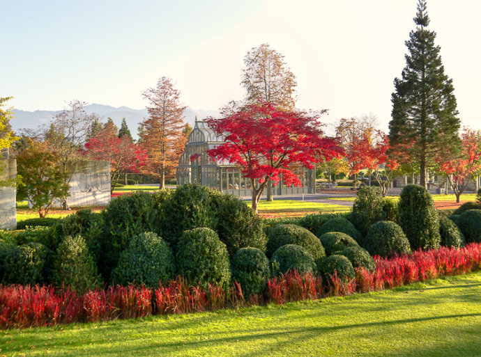 樹的<a src='http://m.wh4wh4.cn' title='景杝園林'>花園設(shè)計</a>博物館