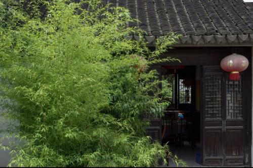 大雅風骨，深刻在中國人文化里的竹情結(jié)