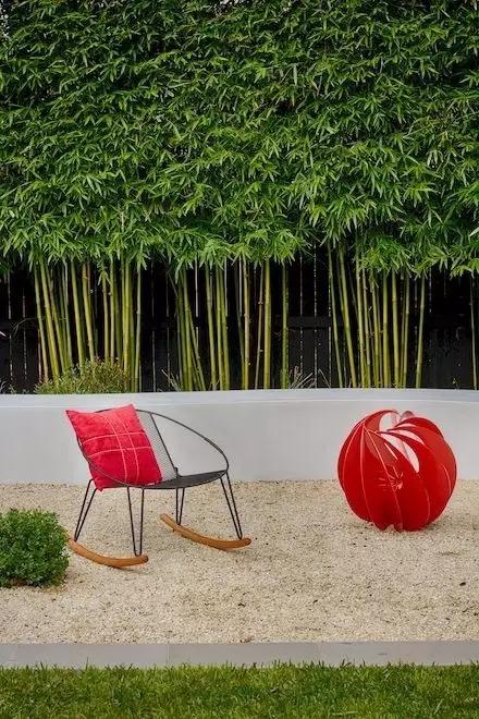 大雅風骨，深刻在中國人文化里的竹情結(jié)