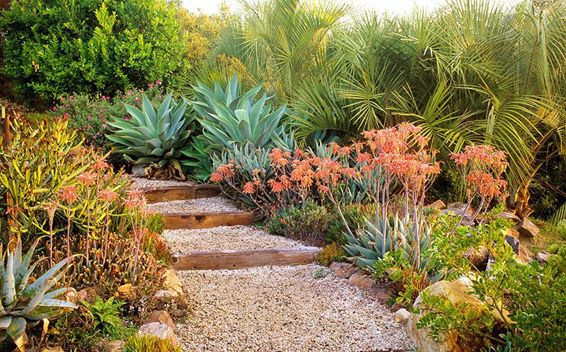 花園小徑，帶你探索花園里的一步一景