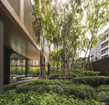 泰國(guó)空中現(xiàn)花園公寓