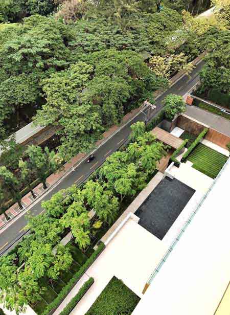 泰國(guó)空中現(xiàn)花園公寓