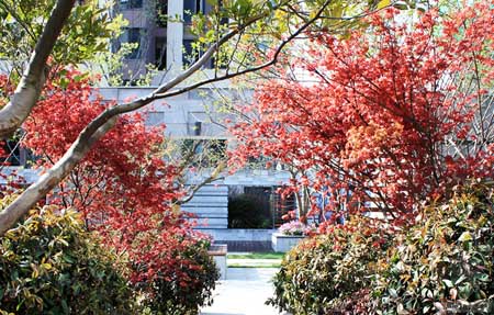 上海金地格林世界森林公館景觀(guān)