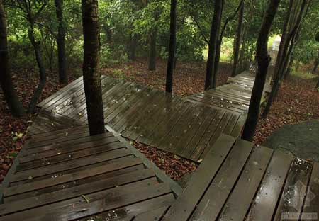 深圳華來(lái)利圣莫麗斯景觀(guān)