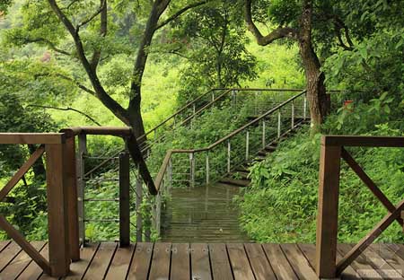 深圳華來(lái)利圣莫麗斯景觀(guān)