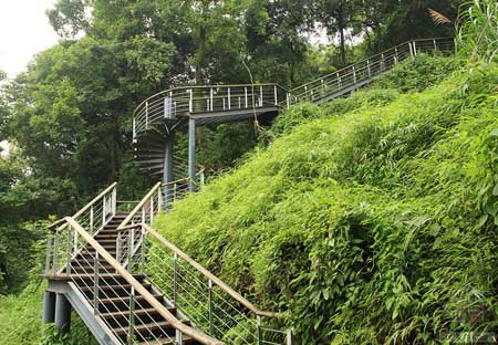 深圳華來(lái)利圣莫麗斯景觀(guān)