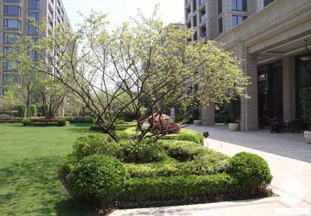 綠城西溪誠園三期守純?cè)纷≌坝^