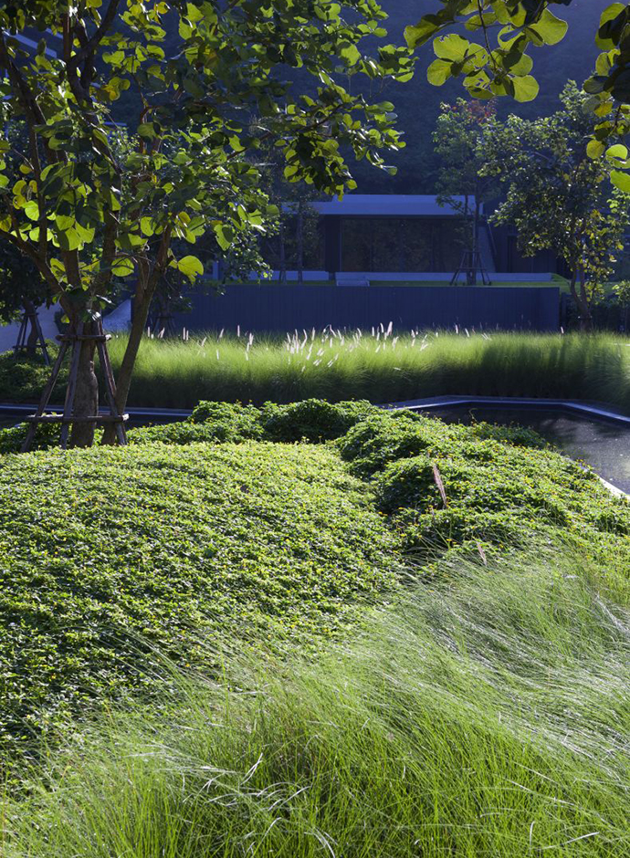 【世界園林】泰國考艾23°莊園景觀