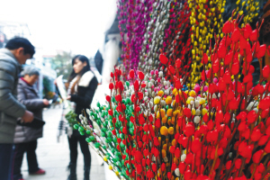 紹興塔山文化廣場(chǎng) 花卉&ldquo;集結(jié)&rdquo;迎新春