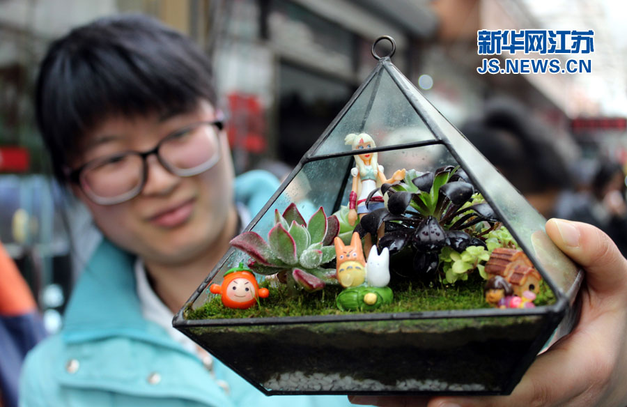 微景觀生態(tài)瓶亮相蘇州花卉市場(chǎng)