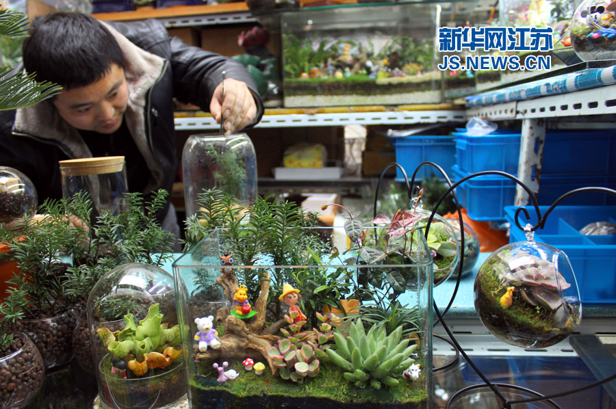 微景觀生態(tài)瓶亮相蘇州花卉市場(chǎng)