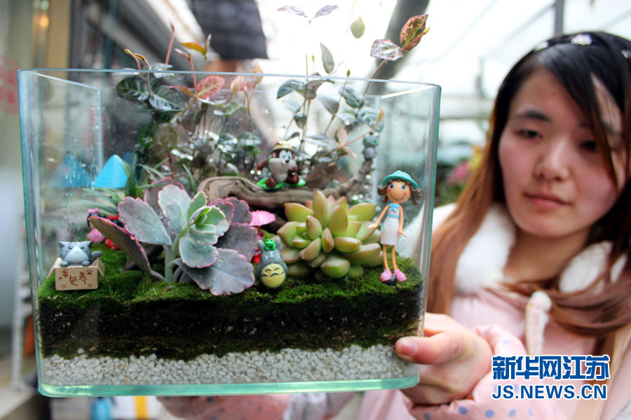 微景觀生態(tài)瓶亮相蘇州花卉市場(chǎng)
