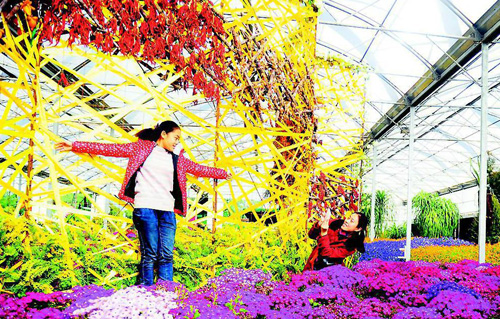 太原舉辦鮮花展&ldquo;汾河灣&middot;花境&rdquo;