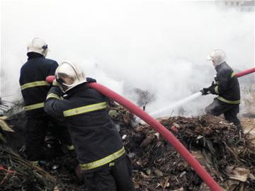 青島:枯萎花卉引發(fā)山火 枯桃濃煙滾滾