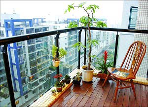用好小氣候，在陽臺上養(yǎng)好花 (圖)