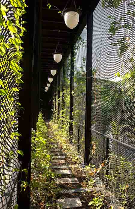 新加坡康沃爾花園住宅景觀設(shè)計(jì)